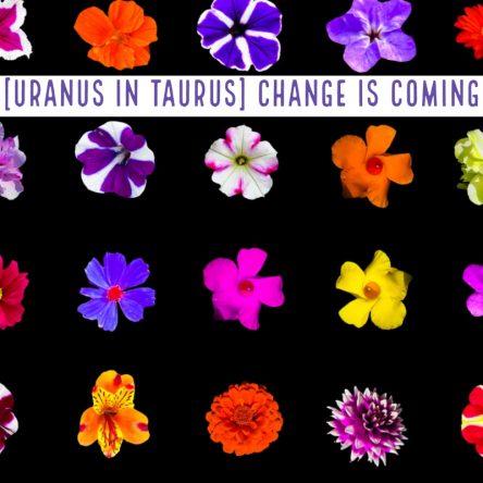 [Uranus in Taurus] Change is coming