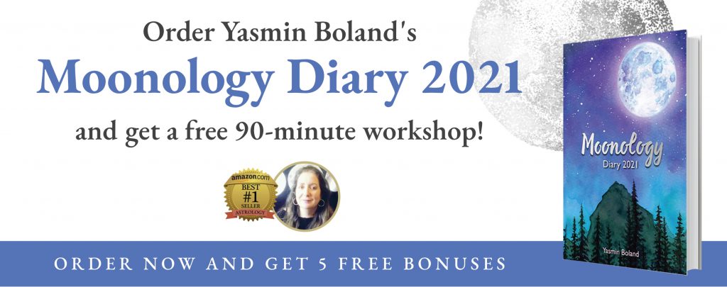 https://members.yasminboland.com/diary-owners-area/