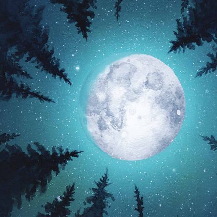 Moon manifesting … what do I do now?