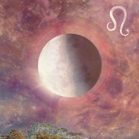 How do YOU Moon manifest? And the Last Quarter Moon…
