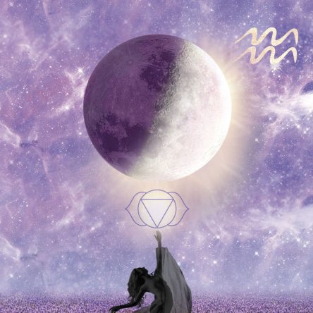 [Quarter Moon Info] Trust the Universe