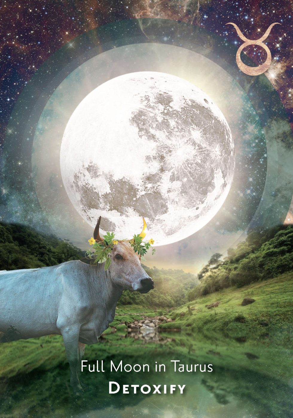 Full Moon in Taurus - Yasmin Boland