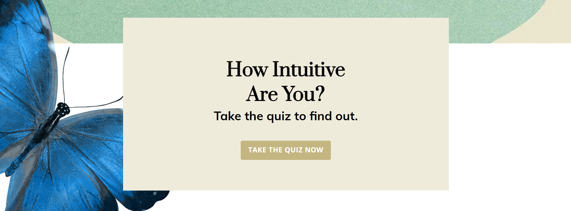 Intuition-Quiz-Yasmin-Boland (1)