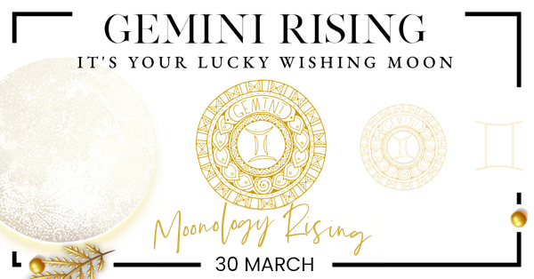 Gemini Rising