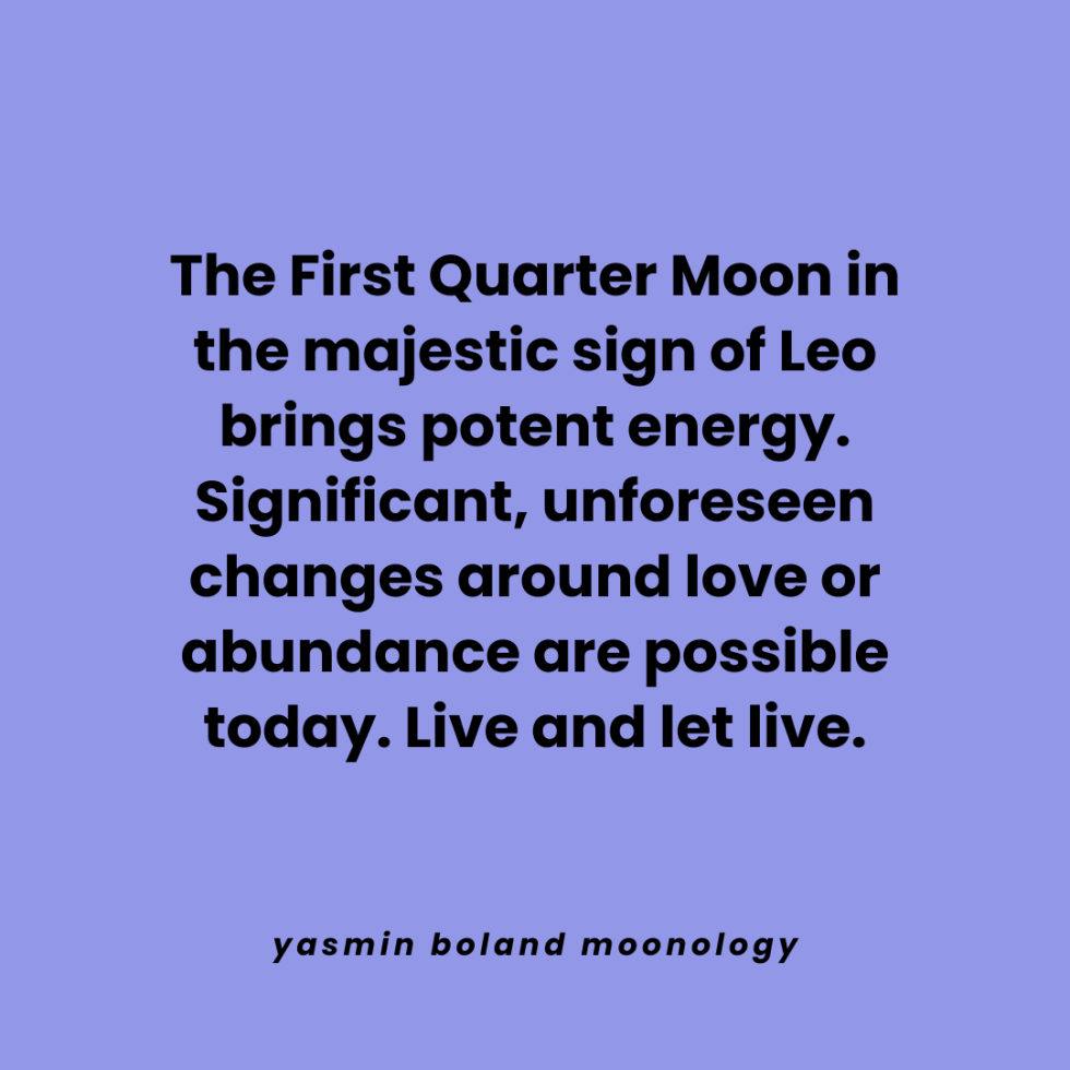 The First Quarter Moon in the majestic